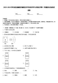 2023-2024学年湖北省襄阳市襄阳五中学实验中学九年级化学第一学期期末达标测试试题含答案