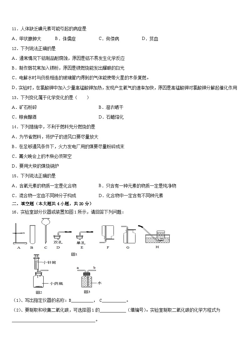 2023-2024学年湖北省武汉市青山区化学九年级第一学期期末学业质量监测试题含答案03