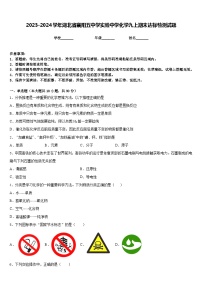 2023-2024学年湖北省襄阳五中学实验中学化学九上期末达标检测试题含答案