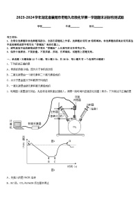 2023-2024学年湖北省襄阳市枣阳九年级化学第一学期期末达标检测试题含答案