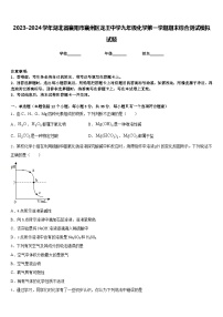 2023-2024学年湖北省襄阳市襄州区龙王中学九年级化学第一学期期末综合测试模拟试题含答案