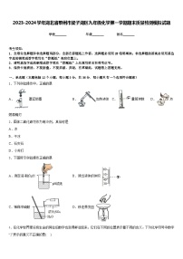 2023-2024学年湖北省鄂州市梁子湖区九年级化学第一学期期末质量检测模拟试题含答案