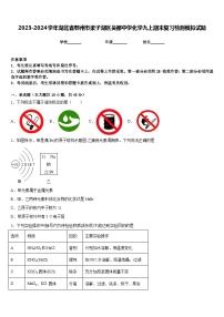 2023-2024学年湖北省鄂州市梁子湖区吴都中学化学九上期末复习检测模拟试题含答案