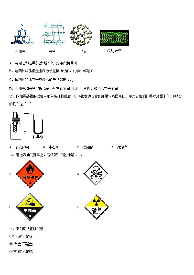 2023-2024学年湖北省鄂州市梁子湖区吴都中学化学九上期末复习检测模拟试题含答案第3页