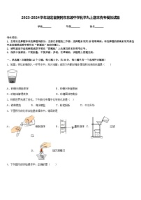 2023-2024学年湖北省黄冈市东坡中学化学九上期末统考模拟试题含答案