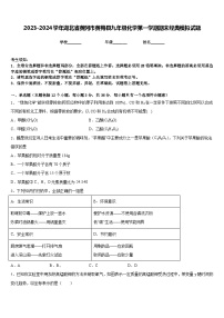 2023-2024学年湖北省黄冈市黄梅县九年级化学第一学期期末经典模拟试题含答案