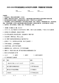 2023-2024学年湖北省黄石大冶市化学九年级第一学期期末复习检测试题含答案