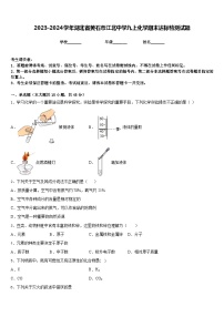 2023-2024学年湖北省黄石市江北中学九上化学期末达标检测试题含答案