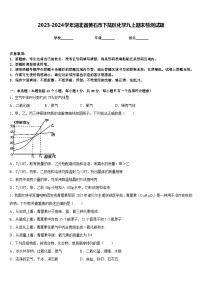 2023-2024学年湖北省黄石市下陆区化学九上期末检测试题含答案