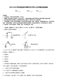 2023-2024学年湖北省马坪镇中学心中学九上化学期末监测试题含答案