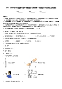 2023-2024学年湖南省常德市名校化学九年级第一学期期末学业质量监测试题含答案