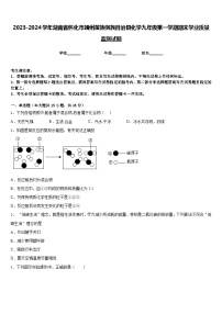 2023-2024学年湖南省怀化市靖州苗族侗族自治县化学九年级第一学期期末学业质量监测试题含答案