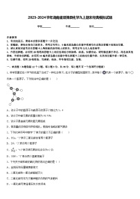 2023-2024学年湖南省双牌县化学九上期末经典模拟试题含答案