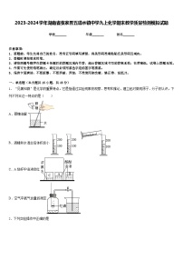 2023-2024学年湖南省张家界五道水镇中学九上化学期末教学质量检测模拟试题含答案