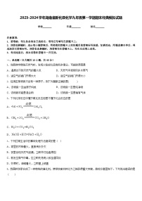 2023-2024学年湖南省新化县化学九年级第一学期期末经典模拟试题含答案