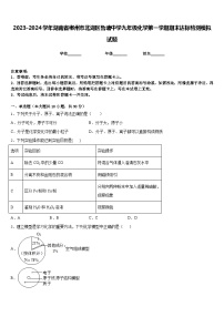 2023-2024学年湖南省郴州市北湖区鲁塘中学九年级化学第一学期期末达标检测模拟试题含答案