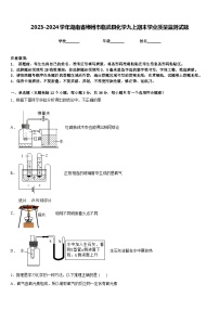 2023-2024学年湖南省郴州市临武县化学九上期末学业质量监测试题含答案