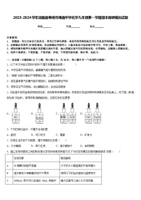 2023-2024学年湖南省郴州市湘南中学化学九年级第一学期期末调研模拟试题含答案