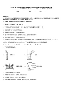 2023-2024学年湖南省衡阳县化学九年级第一学期期末经典试题含答案