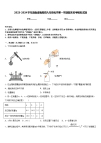 2023-2024学年湖南省衡阳县九年级化学第一学期期末统考模拟试题含答案