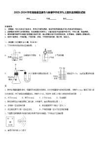 2023-2024学年湖南省涟源市六亩塘中学化学九上期末监测模拟试题含答案