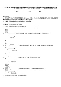 2023-2024学年湖南省邵阳县黄亭市镇中学化学九年级第一学期期末检测模拟试题含答案