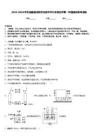 2023-2024学年湖南省武冈市实验中学九年级化学第一学期期末联考试题含答案