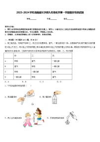 2023-2024学年湖南省长沙县九年级化学第一学期期末检测试题含答案