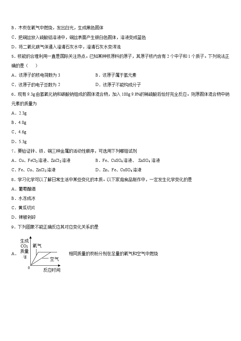 2023-2024学年湖南省长沙市雅礼教育集团九上化学期末统考试题含答案02