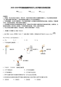 2023-2024学年湖南省益阳市名校九上化学期末达标测试试题含答案