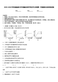 2023-2024学年湖南省长沙市周南实验中学化学九年级第一学期期末达标检测试题含答案