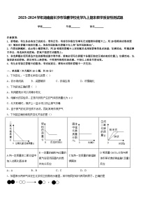 2023-2024学年湖南省长沙市怡雅学校化学九上期末教学质量检测试题含答案