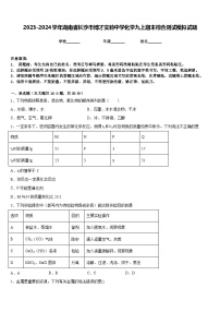 2023-2024学年湖南省长沙市博才实验中学化学九上期末综合测试模拟试题含答案