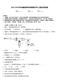 2023-2024学年湖南省株洲市茶陵县化学九上期末检测试题含答案