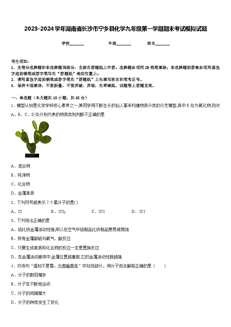 2023-2024学年湖南省长沙市宁乡县化学九年级第一学期期末考试模拟试题含答案第1页