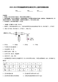 2023-2024学年湖南省株洲市石峰区化学九上期末检测模拟试题含答案