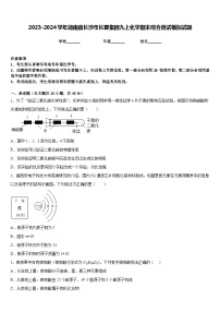 2023-2024学年湖南省长沙市长郡集团九上化学期末综合测试模拟试题含答案