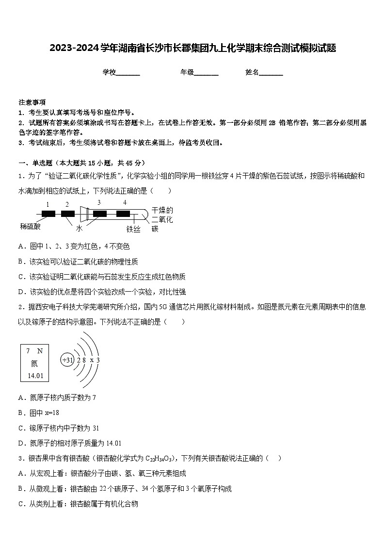 2023-2024学年湖南省长沙市长郡集团九上化学期末综合测试模拟试题含答案01