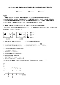 2023-2024学年甘肃泾川县九年级化学第一学期期末综合测试模拟试题含答案