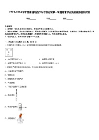 2023-2024学年甘肃省定西市九年级化学第一学期期末学业质量监测模拟试题含答案