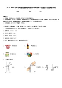 2023-2024学年甘肃省定西市临洮县化学九年级第一学期期末经典模拟试题含答案