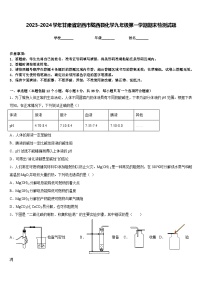 2023-2024学年甘肃省定西市陇西县化学九年级第一学期期末检测试题含答案