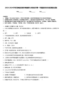 2023-2024学年甘肃省定西市渭源县九年级化学第一学期期末综合测试模拟试题含答案