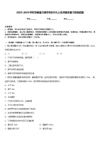 2023-2024学年甘肃省兰州市市区片九上化学期末复习检测试题含答案