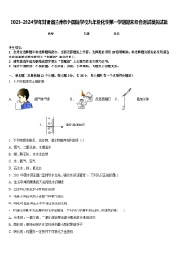 2023-2024学年甘肃省兰州市外国语学校九年级化学第一学期期末综合测试模拟试题含答案