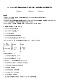 2023-2024学年甘肃省临洮县九年级化学第一学期期末质量检测模拟试题含答案