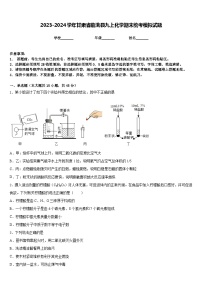 2023-2024学年甘肃省临洮县九上化学期末统考模拟试题含答案