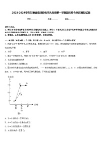 2023-2024学年甘肃省临泽县化学九年级第一学期期末综合测试模拟试题含答案