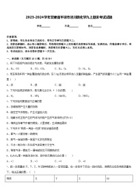 2023-2024学年甘肃省平凉市泾川县化学九上期末考试试题含答案