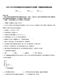 2023-2024学年甘肃省平凉市庄浪县化学九年级第一学期期末联考模拟试题含答案